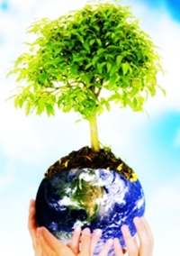 Sostenibilità ambientale